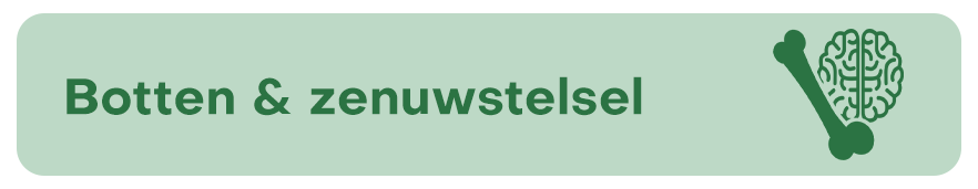 1:image