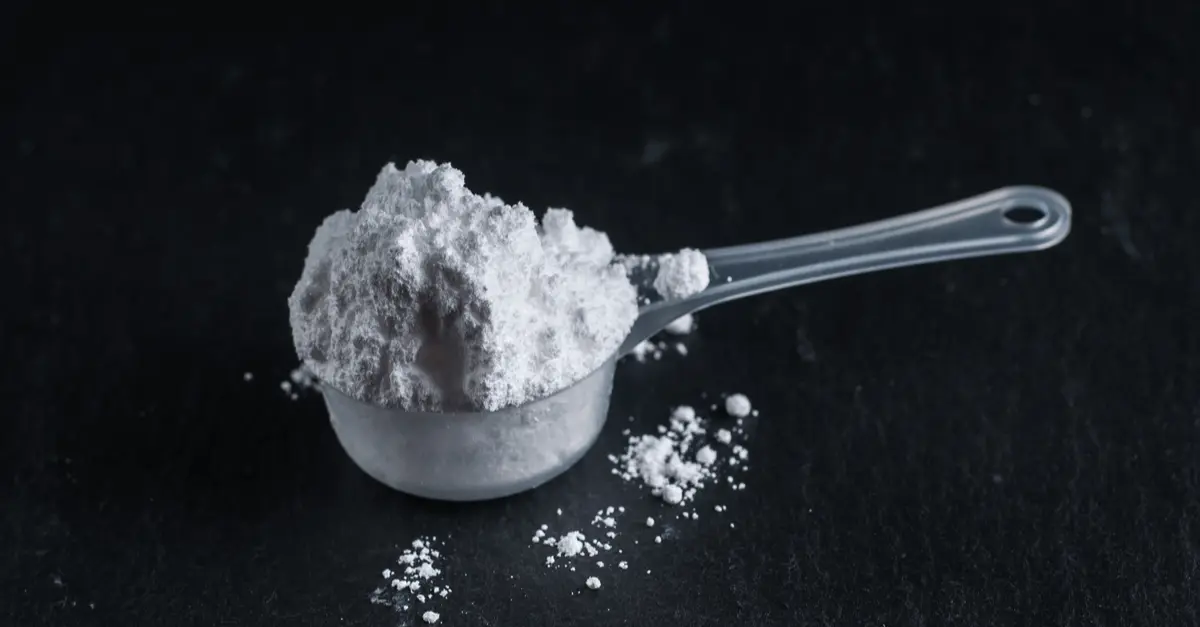 How & When to Use Creatine? Find out at XXL